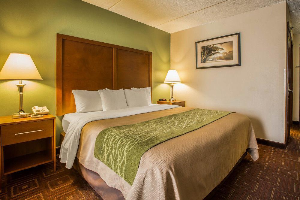 Comfort Inn Asheville Airport Fletcher Exterior foto