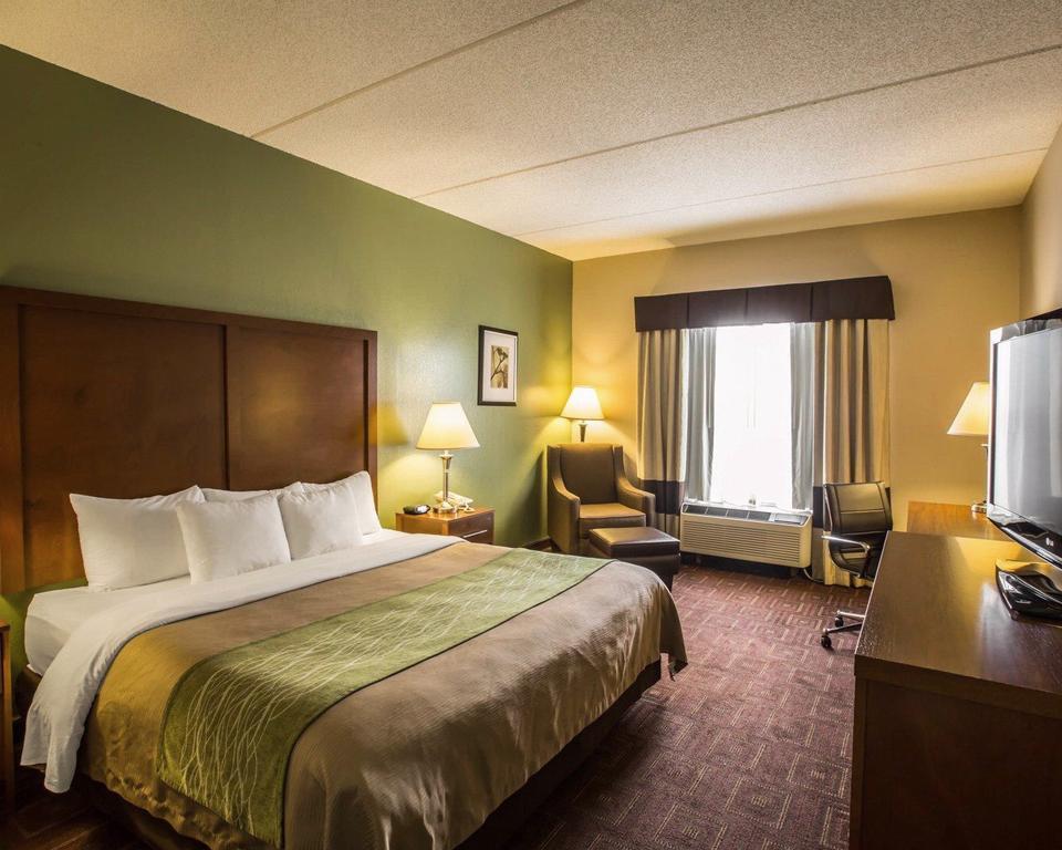 Comfort Inn Asheville Airport Fletcher Exterior foto