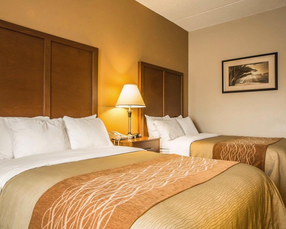 Comfort Inn Asheville Airport Fletcher Exterior foto